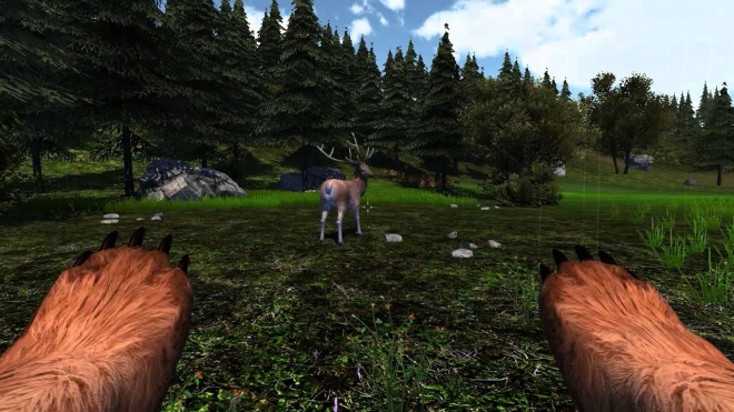 Симуляторы животных – экзотика компьютерных игр