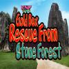Knf Gold Box Rescue From Stone Forest