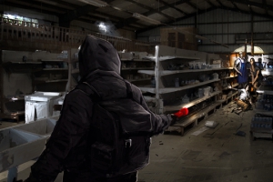 Дополнение State of Decay удивит нестандартным решением