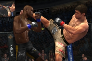 UFC 2009 Undisputed