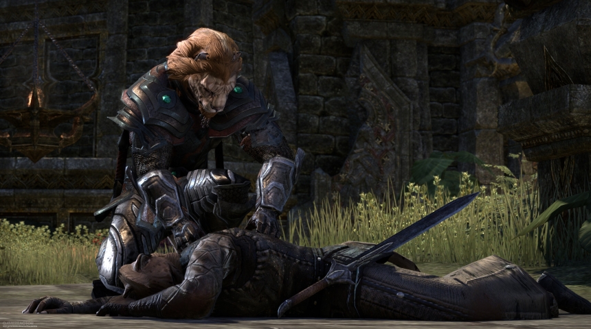 Творцы The Elder Scrolls Online борются со спамерами