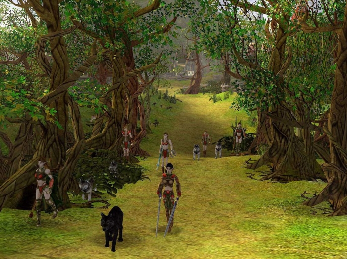 SpellForce: The Shadow of the Phoenix