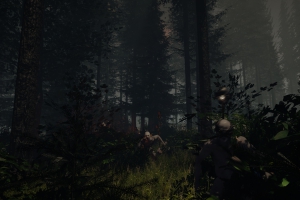 The Forest сдвигается на более поздний срок