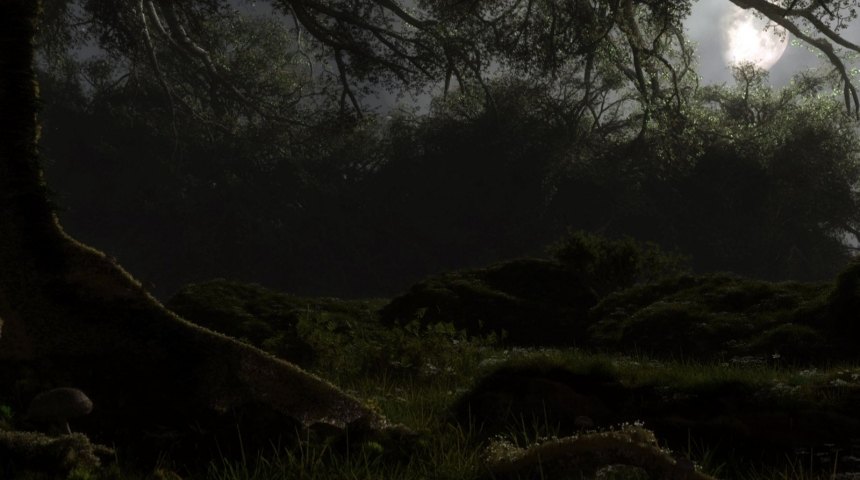 Endnight Games начинают выполнять свои обещания. Акулы в The Forest