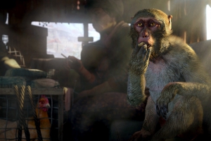 Ubisoft – аттракцион невиданной щедрости