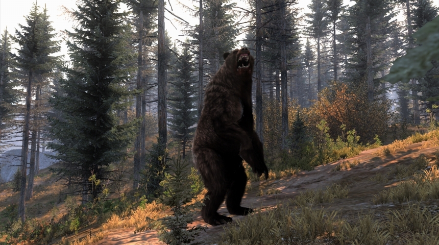 Симуляторы животных – экзотика компьютерных игр