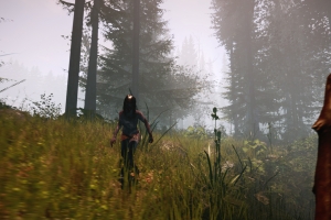 Кооператив доступен в The Forest