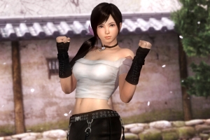 Создатели Dead or Alive 5 боятся озабоченных моддеров
