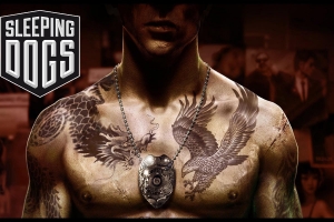 Sleeping Dogs