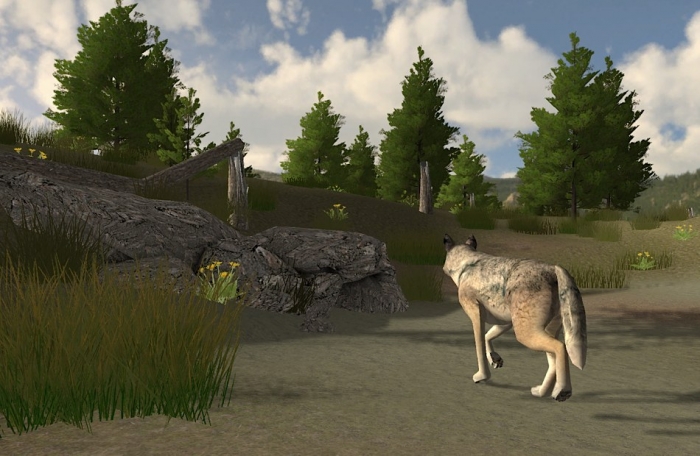 Wolf Quest (2007)