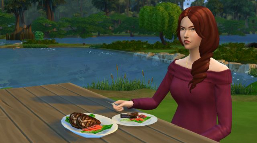 Занимательные факты The Sims 4