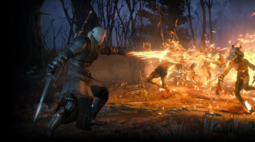 Тридцать часов нового геймплея для The Witcher 3: Wild Hunt