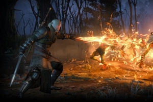 Тридцать часов нового геймплея для The Witcher 3: Wild Hunt