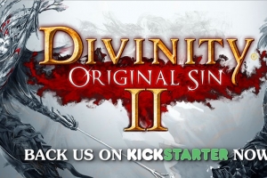 Divinity: Original Sin 2 начала сбор средств на Kickstarter
