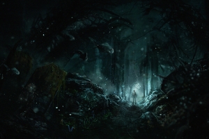 Философия SOMA