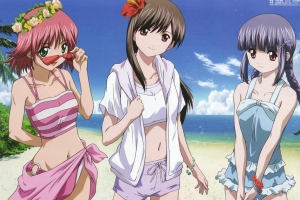 Tokimeki Memorial Girl's Side 1st Lov