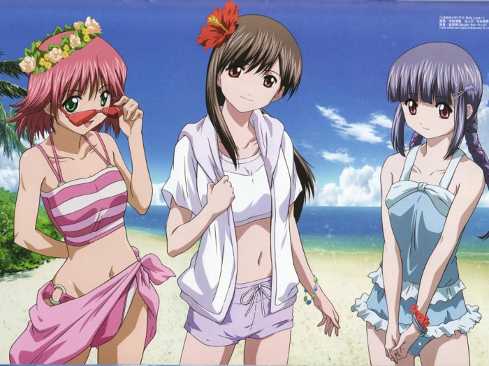 Tokimeki Memorial Girl's Side 1st Lov