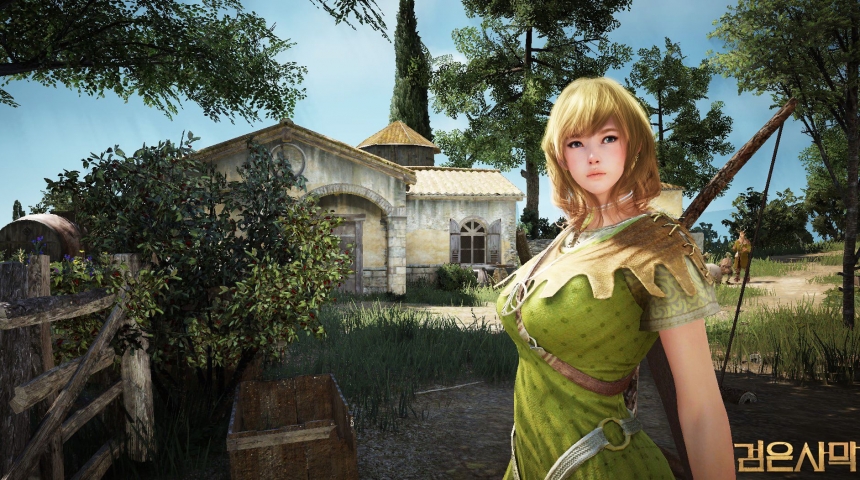 Скандал вокруг Black Desert набирает обороты