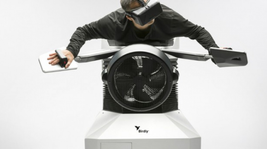 Швейцарец создал симулятор полёта