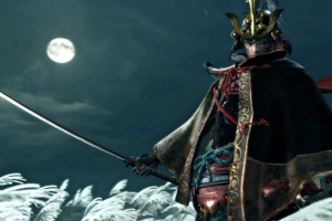 В начале Sekiro: Shadows Die Twice появился непобедимый босс