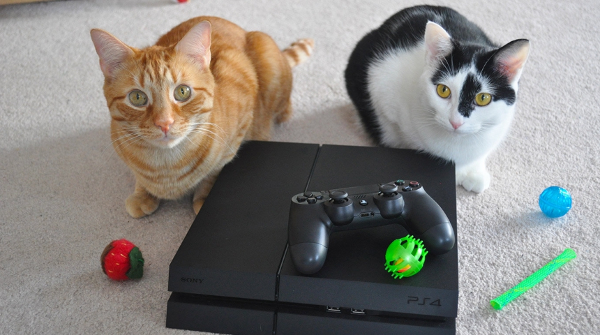 Лучшие игры симуляторы животных