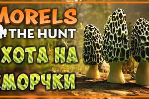 Симулятор Morels: The Hunt зовет на «тихую» охоту