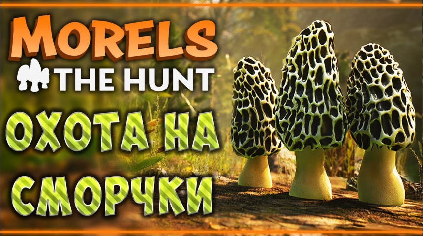 Симулятор Morels: The Hunt зовет на «тихую» охоту